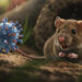 Emergencia en alta mar: tres muertes por posible hantavirus en un crucero generan alarma sanitaria y tensión internacional