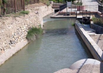 Las norias que convirtieron el agua en patrimonio