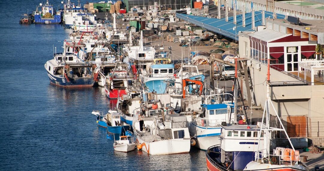 Entre redes y temporales: la pesca resiste en el puerto de Águilas