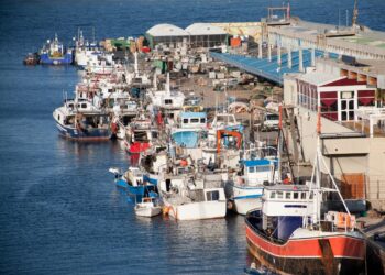 Entre redes y temporales: la pesca resiste en el puerto de Águilas
