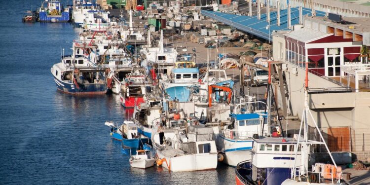 Entre redes y temporales: la pesca resiste en el puerto de Águilas