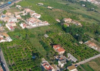 Entre huertas y polígonos: el delicado equilibrio económico de Alguazas