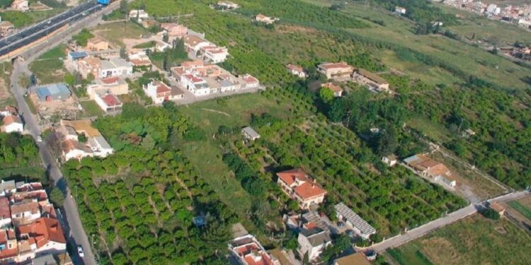 Entre huertas y polígonos: el delicado equilibrio económico de Alguazas
