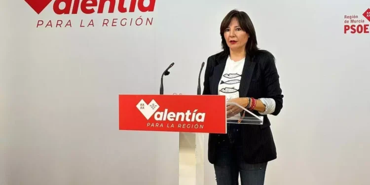 El PSOE exige responsabilidades políticas por la trama de las prótesis y señala al consejero García Montoro