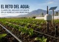 El reto del agua: claves del regadío eficiente en la agricultura murciana