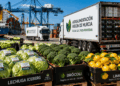 Las exportaciones agroalimentarias impulsan el crecimiento económico de Murcia