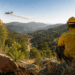 La Región endurecerá las sanciones por incendios forestales con multas de hasta un millón de euros