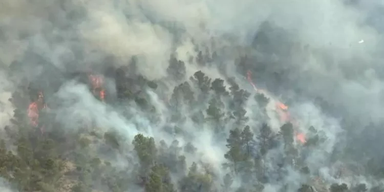 Incendio forestal en Murcia: la Región solicita apoyo aéreo de otras comunidades y la intervención de la UME