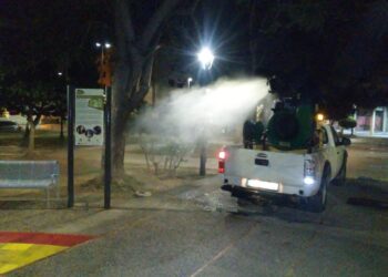 Alhama de Murcia fumiga parques y zonas verdes para controlar la presencia de mosquitos