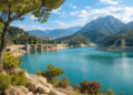 Los embalses de la cuenca del Segura en 2026 alcanzan su mejor nivel para estas fechas en más de una década