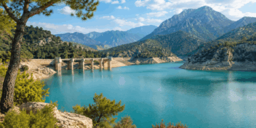 Los embalses de la cuenca del Segura en 2026 alcanzan su mejor nivel para estas fechas en más de una década