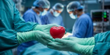108 trasplantes en seis meses: la solidaridad impulsa un nuevo récord sanitario en la Región de Murcia