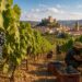 Jumilla se prepara para la vendimia con previsiones de una campaña marcada por la calidad de la uva