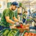 Oferta de empleo en Mazarrón para almacén hortofrutícola