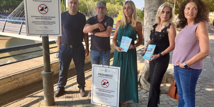 Murcia pide a los vecinos que dejen de alimentar a las palomas para frenar su proliferación en la ciudad