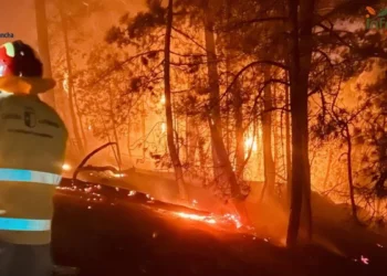 Incendios de Madrid, Ávila y Toledo: Murcia participa en el operativo