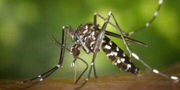 Fumigación contra los mosquitos en Alhama de Murcia en parques y jardines del casco urbano