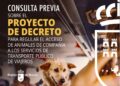 Murcia prepara una norma común para que las mascotas puedan viajar en el transporte público