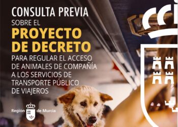 Murcia prepara una norma común para que las mascotas puedan viajar en el transporte público