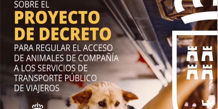 Murcia prepara una norma común para que las mascotas puedan viajar en el transporte público