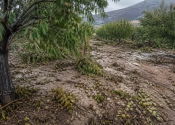 Unas 20.000 hectáreas afectadas en Mula, Bullas, Calasparra y Moratalla
