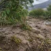 Unas 20.000 hectáreas afectadas en Mula, Bullas, Calasparra y Moratalla