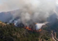 Incendio forestal de Moratalla controlado por el dispositivo del Plan Infomur