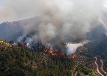 Incendio forestal de Moratalla controlado por el dispositivo del Plan Infomur