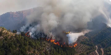 Incendio forestal de Moratalla controlado por el dispositivo del Plan Infomur