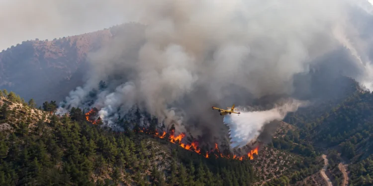 Incendio forestal de Moratalla controlado por el dispositivo del Plan Infomur