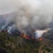 Incendio forestal de Moratalla controlado por el dispositivo del Plan Infomur
