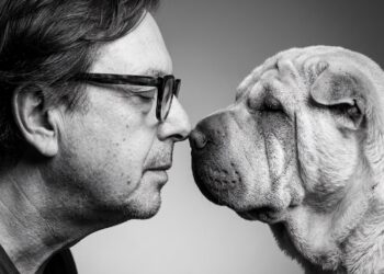 LOS OJOS DE UN PERRO Y LA POLÍTICA DE LOS AFECTOS