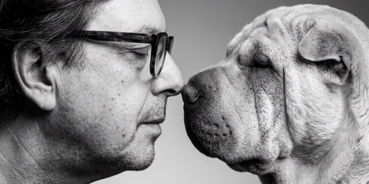 LOS OJOS DE UN PERRO Y LA POLÍTICA DE LOS AFECTOS