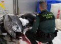 La pesca furtiva pone bajo presión las reservas marinas de la Región de Murcia