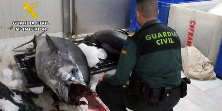 La pesca furtiva pone bajo presión las reservas marinas de la Región de Murcia
