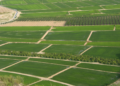 Ayudas para el arroz de Calasparra y Moratalla en el Coto Arrocero