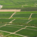 Ayudas para el arroz de Calasparra y Moratalla en el Coto Arrocero