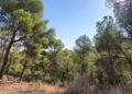 Murcia pone la ciencia al servicio del Majal Blanco para proteger su carrascal frente al cambio climático