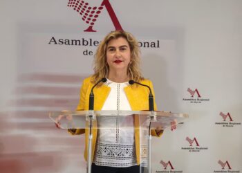 El PSOE de Cartagena denuncia amenazas e insultos contra sus representantes y lleva la violencia política al Pleno