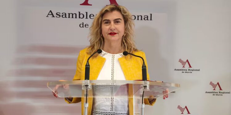 El PSOE de Cartagena denuncia amenazas e insultos contra sus representantes y lleva la violencia política al Pleno