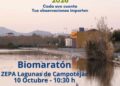 Molina de Segura invita a descubrir las aves migratorias de las lagunas de Campotéjar
