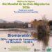 Molina de Segura invita a descubrir las aves migratorias de las lagunas de Campotéjar